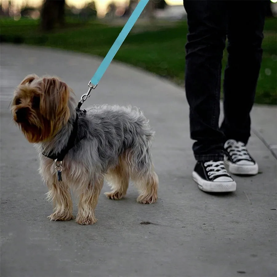 1pc Pet Car Belt, Dog Cat Car Leash, Backseat Pet Tether, Car Seat Car