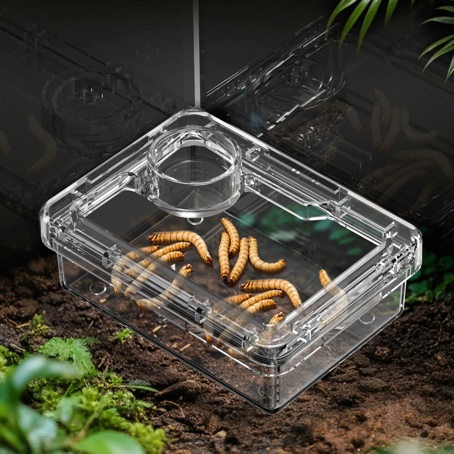 Feeding bowls and water bowls for reptile lizards and geckos