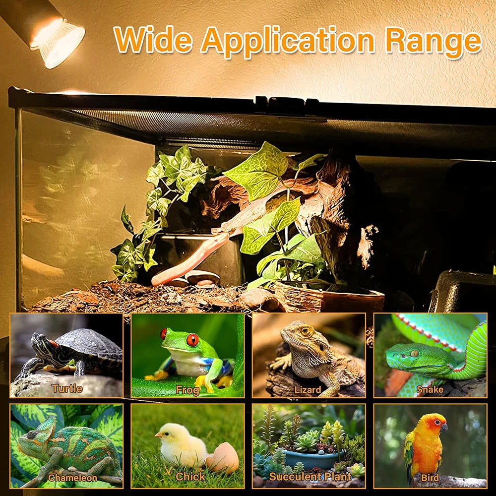Reptile Heat Lamp 50W
Simulated Sunlight