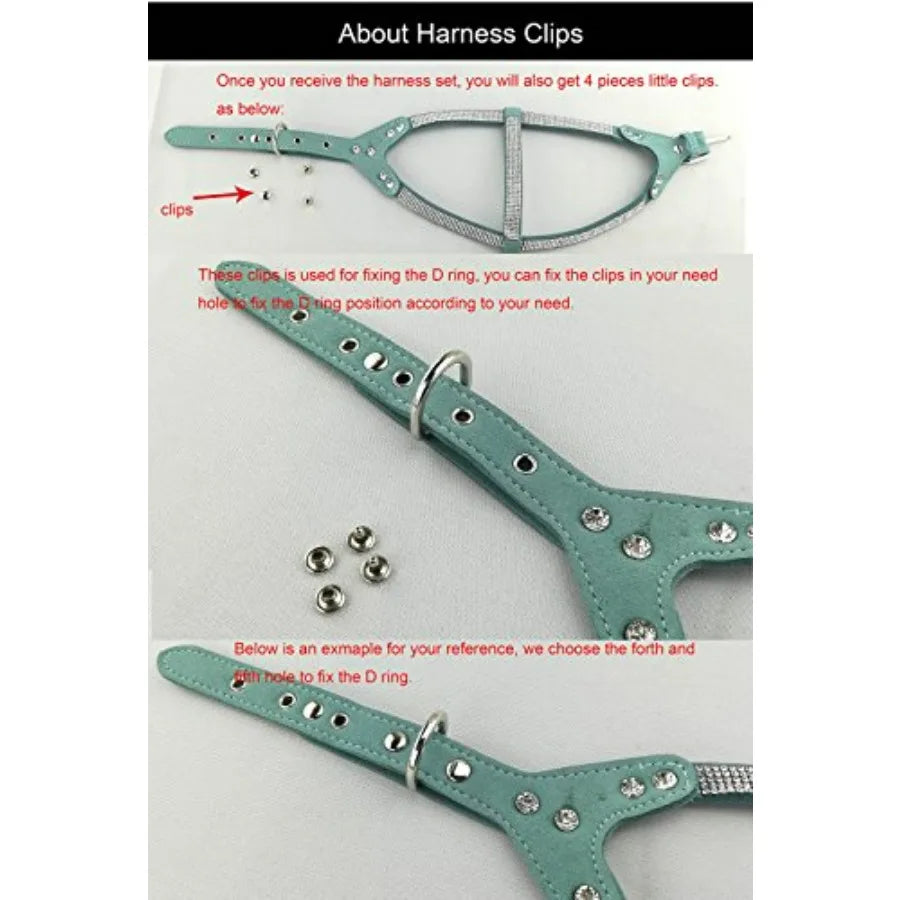 Dog Collar and Harness and Lead Sets Fashion