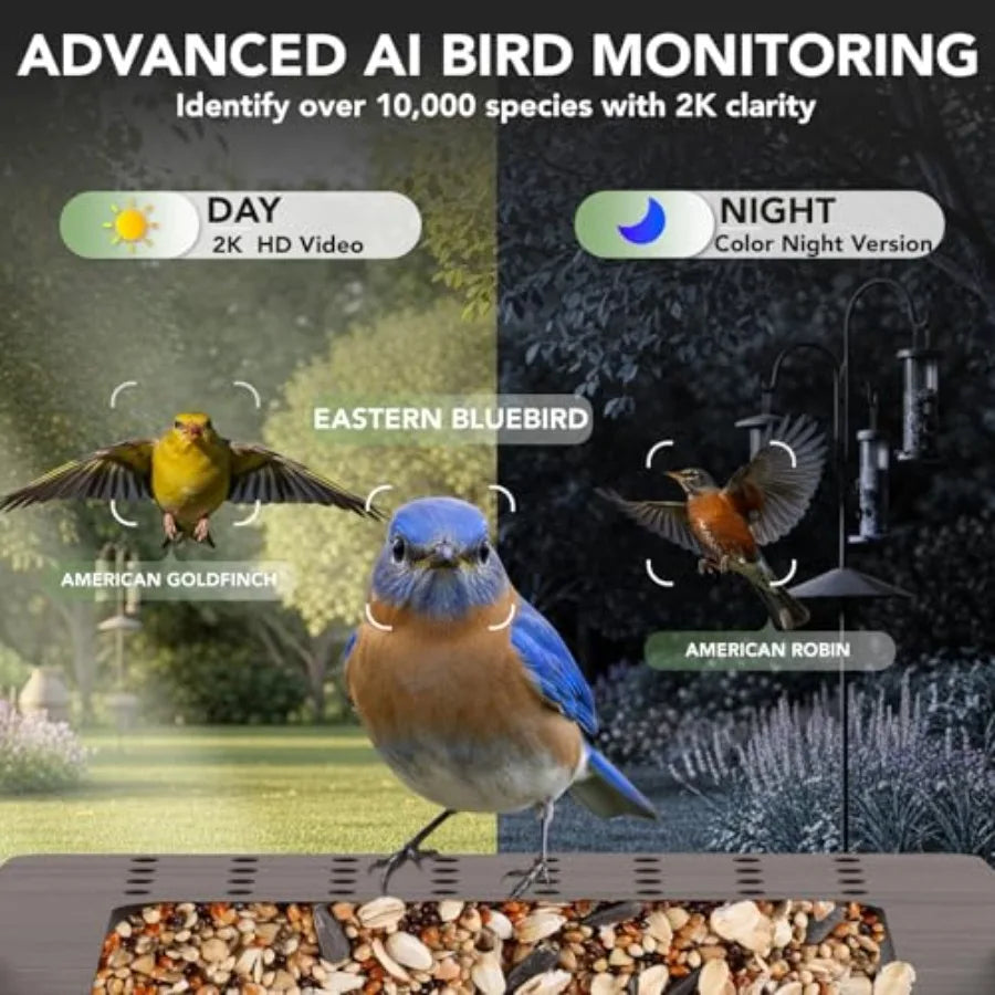 Smart Bird Feeder with Camera