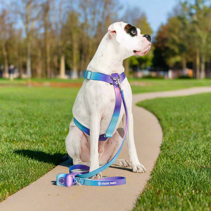 Comfort Control No-Pull Dog Harness - 90s Retro