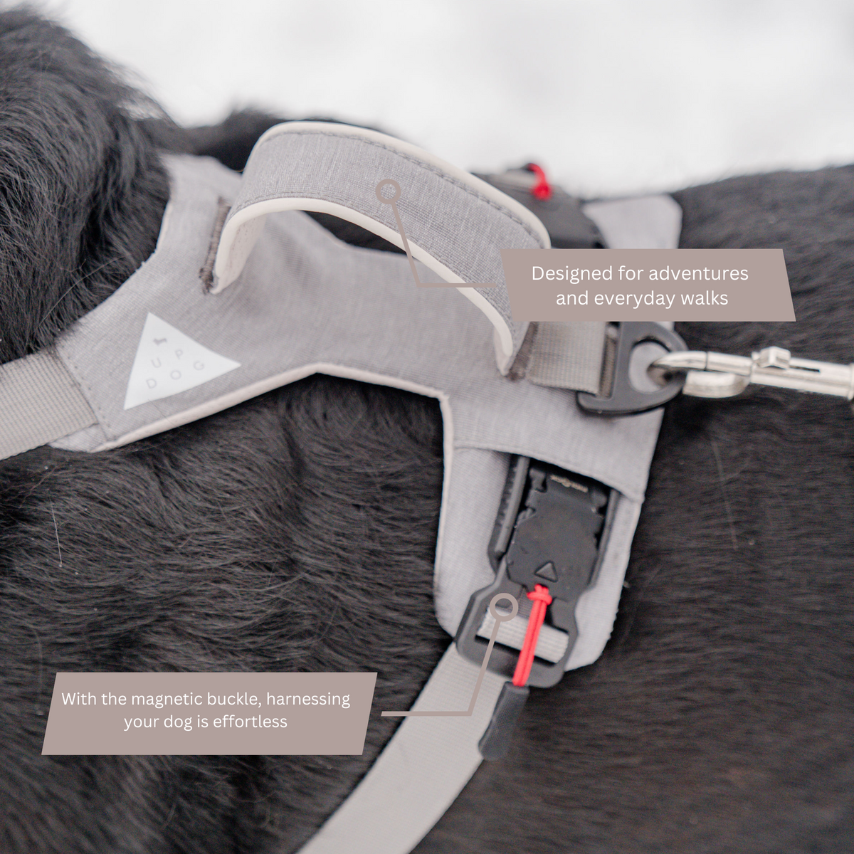 Magnetic Dog Harness with Handle - Easy On, No-Pull Design