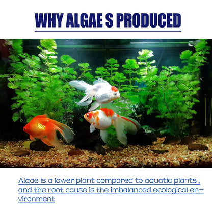 50G Aquarium Algae & Moss Remover