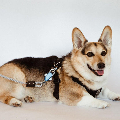 Patented Magnetic Dog Leash - One-Hand Connect & Release