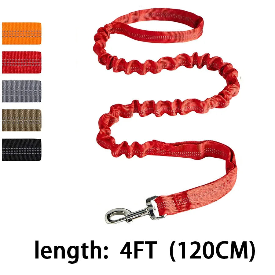 Dog Leash Large Dogs, Bungee Dog Leash Heavy Duty