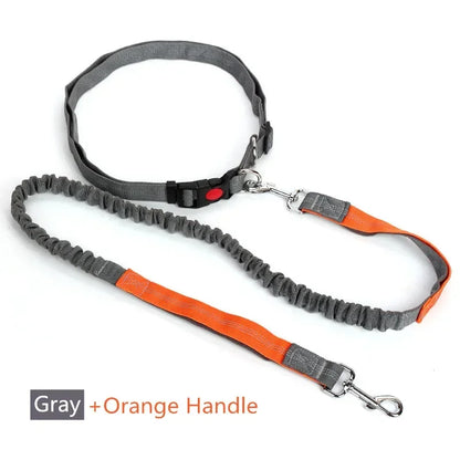 Retractable Dog Leash with Adjustable Waist Rope Hand Free