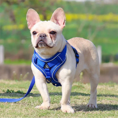 No Pull Harness and Leash Set Vest for  Small Dogs  & Cats