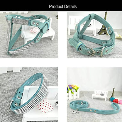 Dog Collar and Harness and Lead Sets Fashion