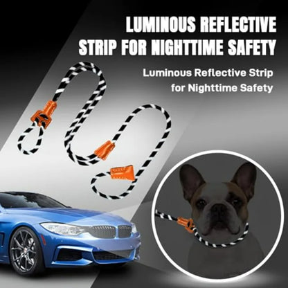 Slip Leads ,  Collar Leash and Harness All in One, Pet Training Lead for Walking,