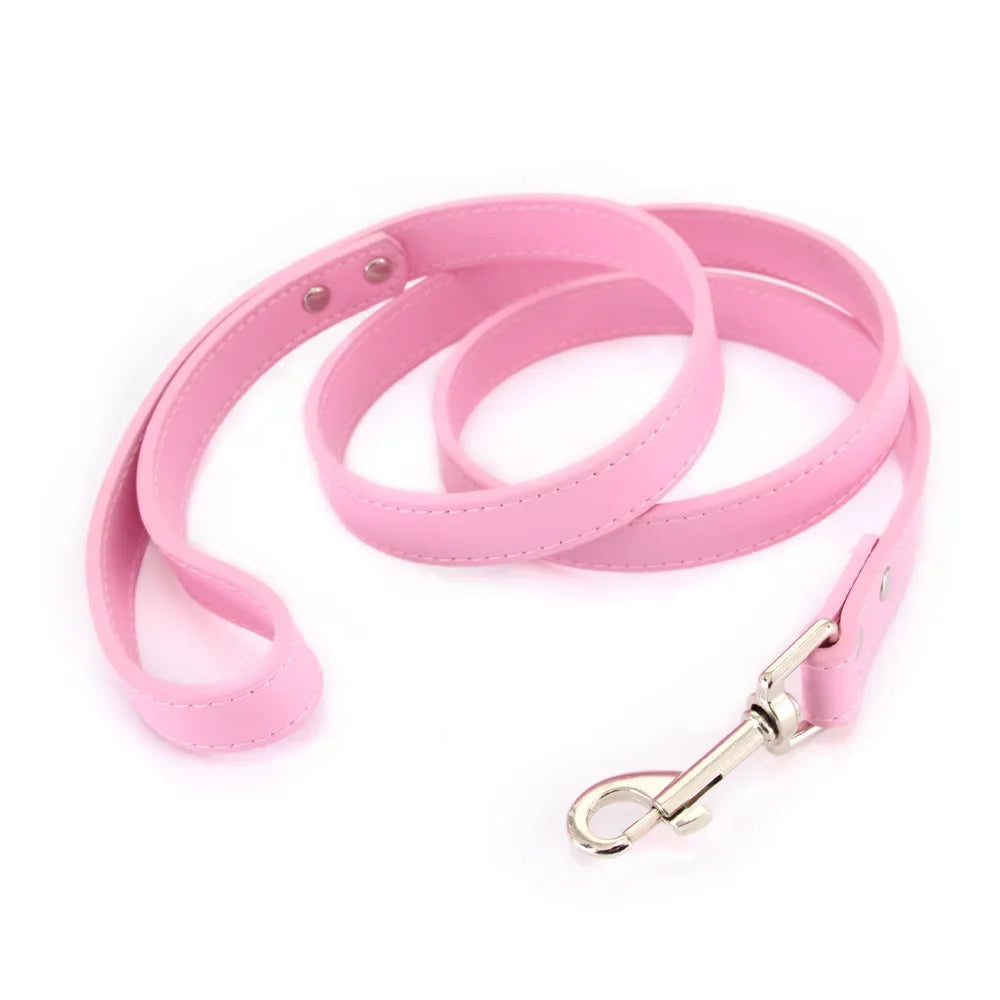 Leather Pet Walking Training Leads