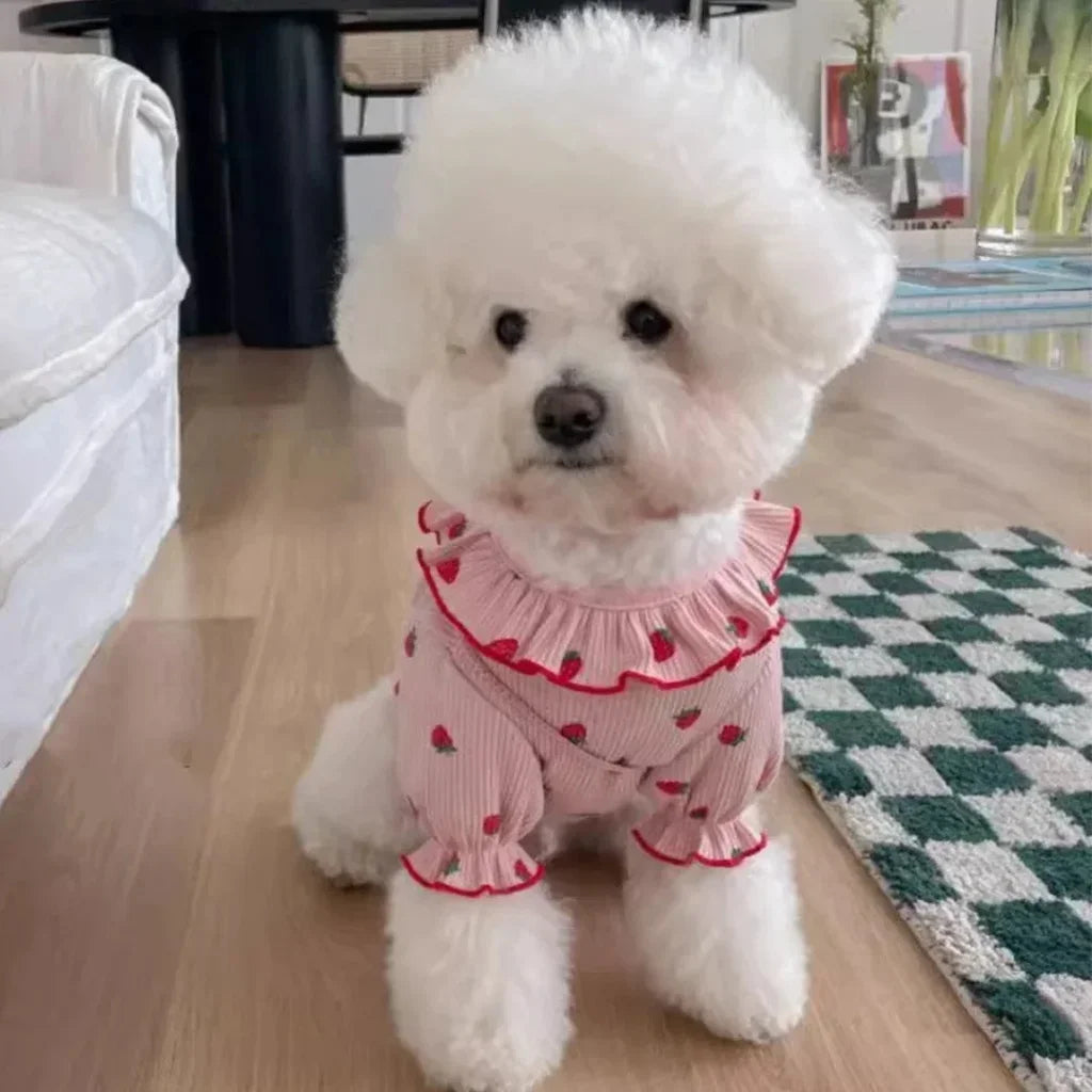 Small Dog Summer Breathable Cute Dog /Cat Ruffled Collar Pet Clothes