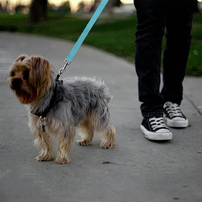 1pc Pet Car Belt, Dog Cat Car Leash, Backseat Pet Tether, Car Seat Car