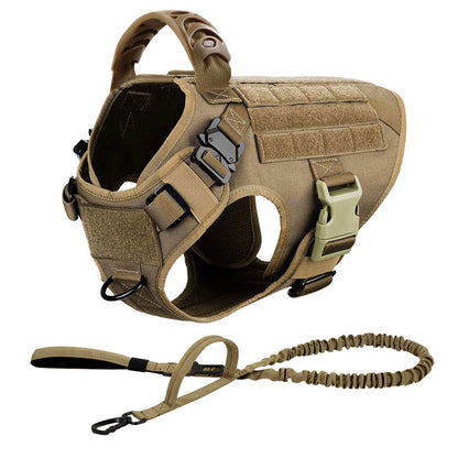 Large Dog Harness And Leash .Walking