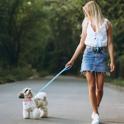 3 Pack Puppy Collar and Leashes Cat