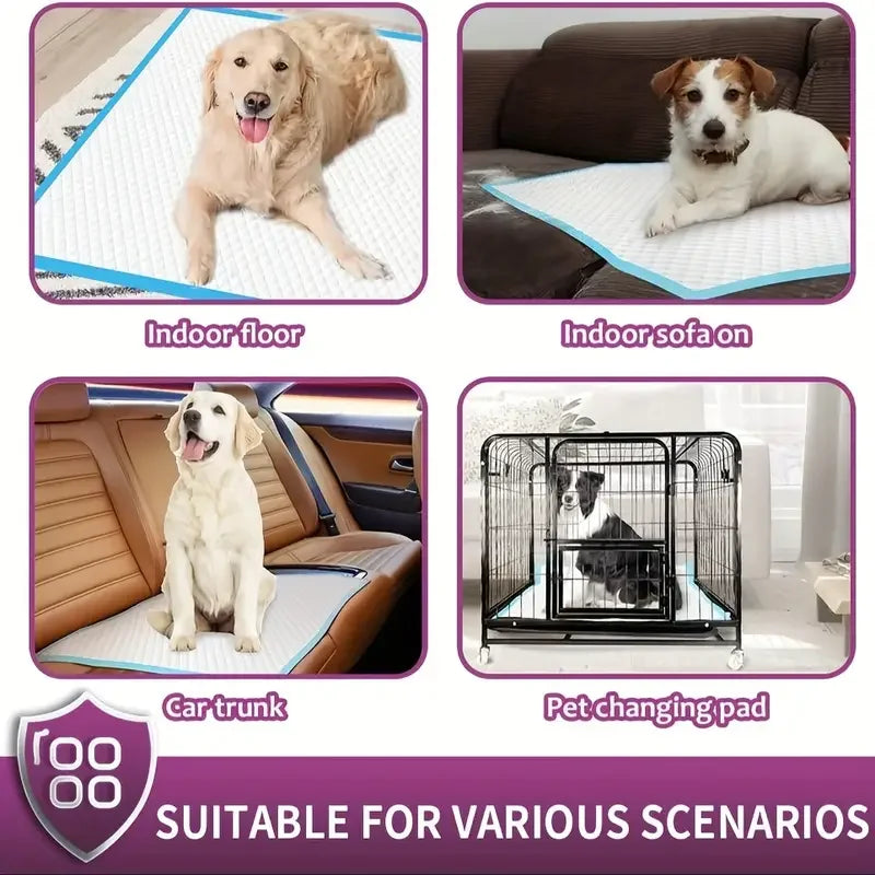 XXL Dog Pee Pads | Premium Disposable