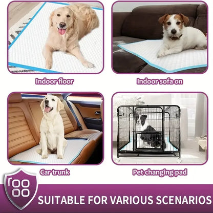 XXL Dog Pee Pads | Premium Disposable
