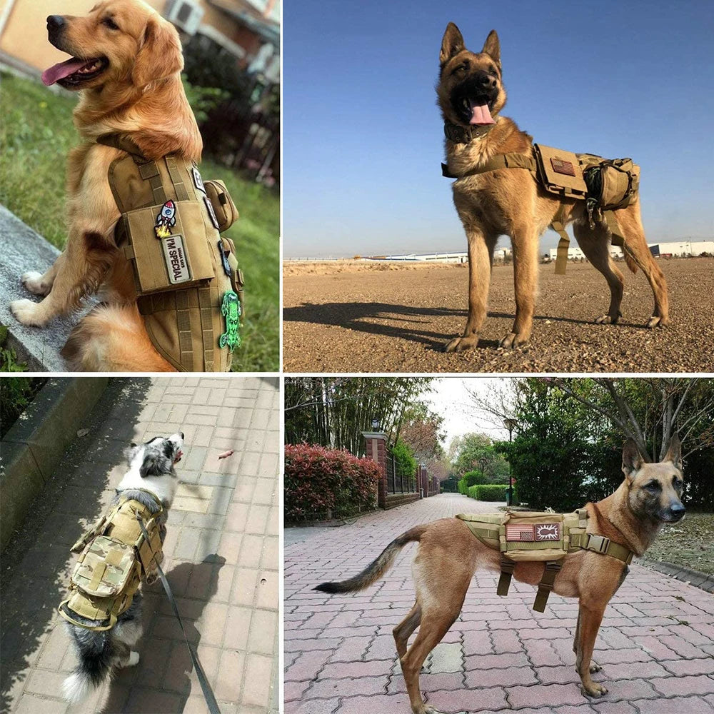 12 Pieces Tactical Patch Bundle For Dog  Name ID Sticker