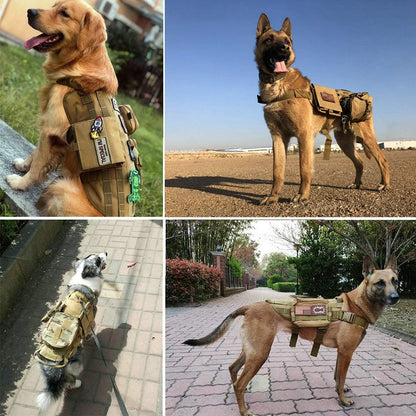 12 Pieces Tactical Patch Bundle For Dog  Name ID Sticker