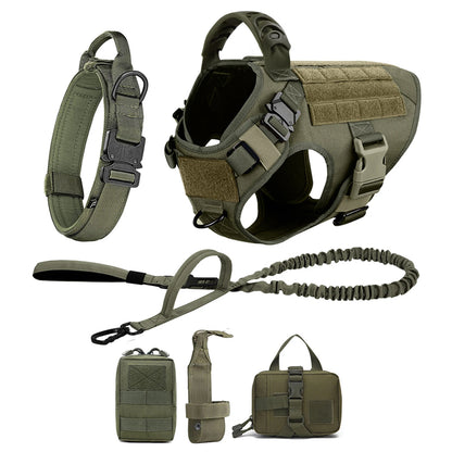 Large Dog Harness And Leash .Walking