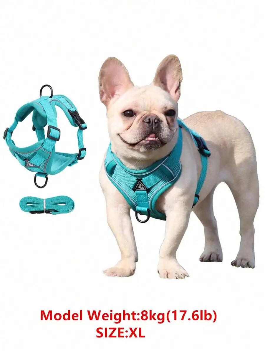 Reflective Pet Harness And Leash Set, Suitable For Dogs & Cats,