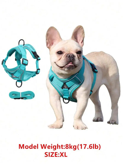 Reflective Pet Harness And Leash Set, Suitable For Dogs & Cats,