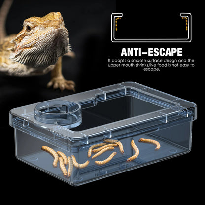 Feeding bowls and water bowls for reptile lizards and geckos