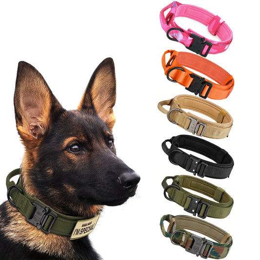 Dog Training Collar Adjustable