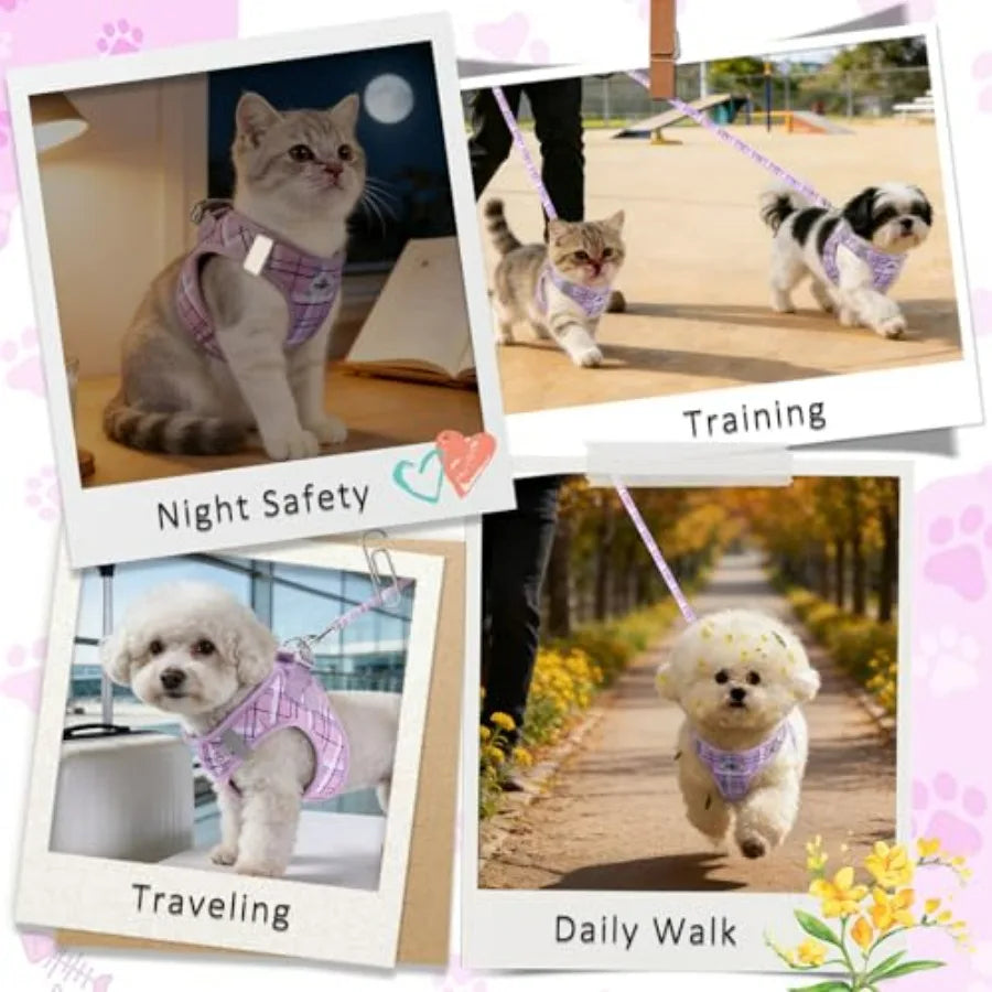 No Pull Dog  Harness Collar Leash Set