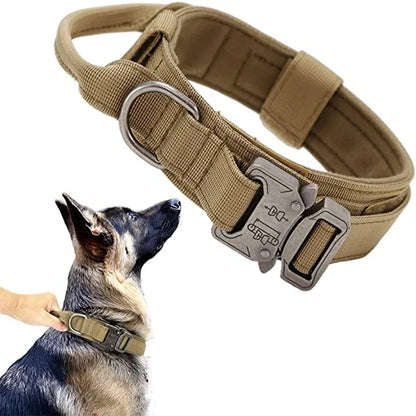 Dog Collar Leash Set Adjustable  Leash  Dog Training Accessories