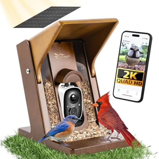 Smart Bird Feeder with Camera