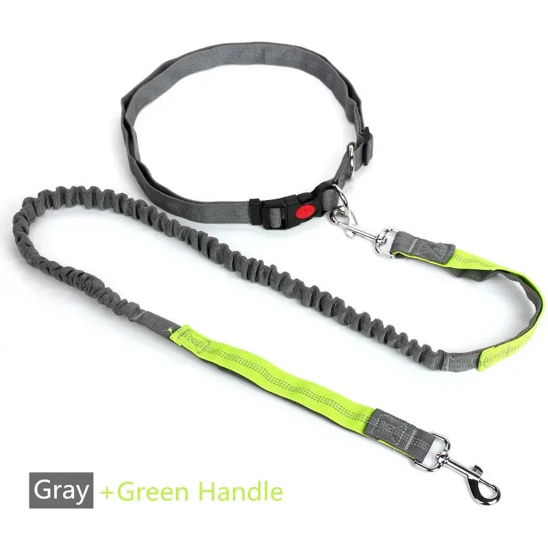 Retractable Dog Leash with Adjustable Waist Rope Hand Free