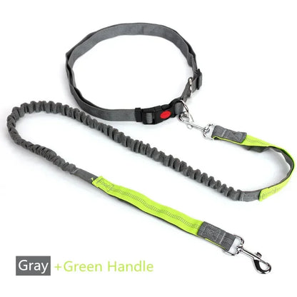 Retractable Dog Leash with Adjustable Waist Rope Hand Free