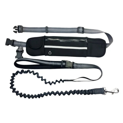 Hands Free Dog Leash with Zipper Pouch Reflective Bungee