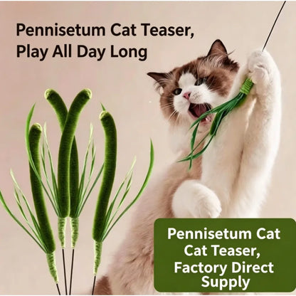 Green Bristle Grass Toy Wand.Chew Interactive Toy.  for Kitty.