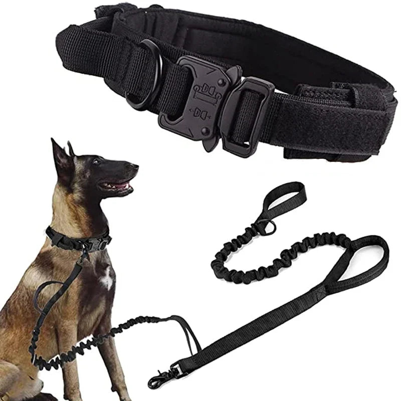 Dog Collar Leash Set Adjustable  Leash  Dog Training Accessories
