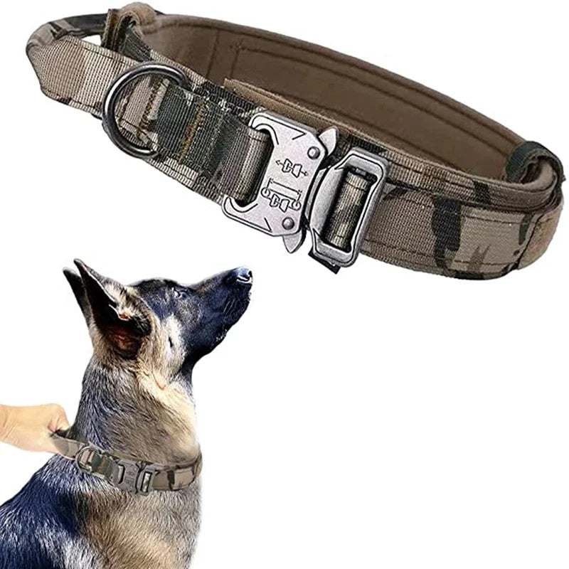 Dog Collar Leash Set Adjustable  Leash  Dog Training Accessories