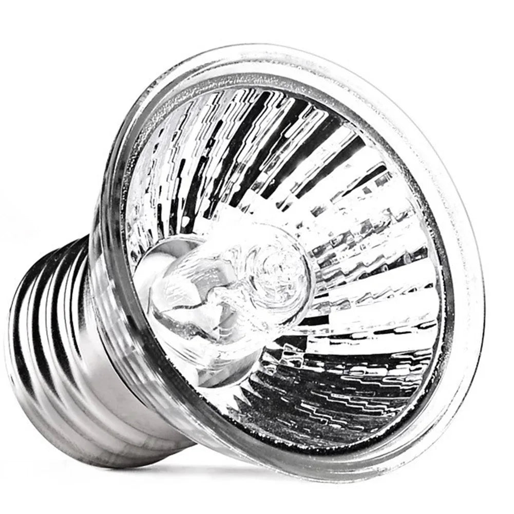 Reptile Lamp Pet Amphibians