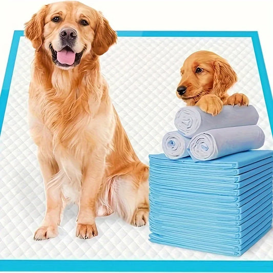 XXL Dog Pee Pads | Premium Disposable