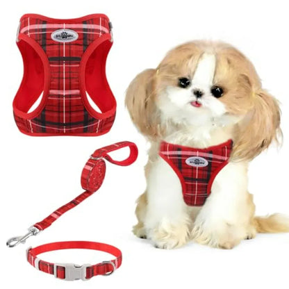 No Pull Dog  Harness Collar Leash Set