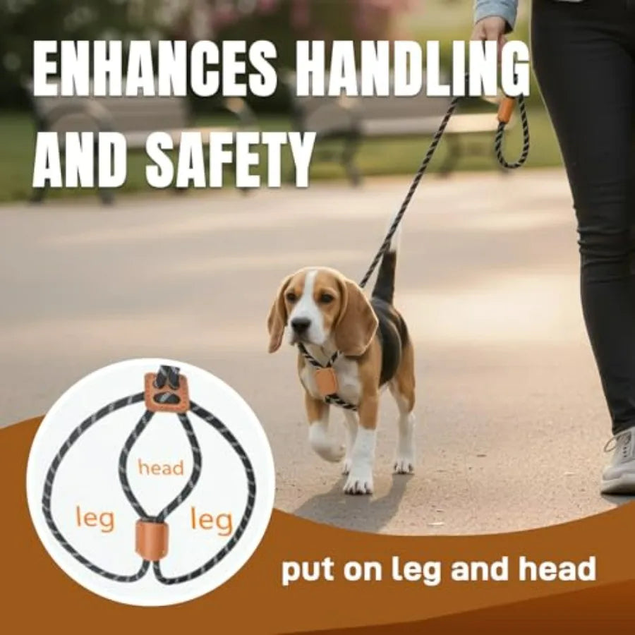 Slip Leads ,  Collar Leash and Harness All in One, Pet Training Lead for Walking,