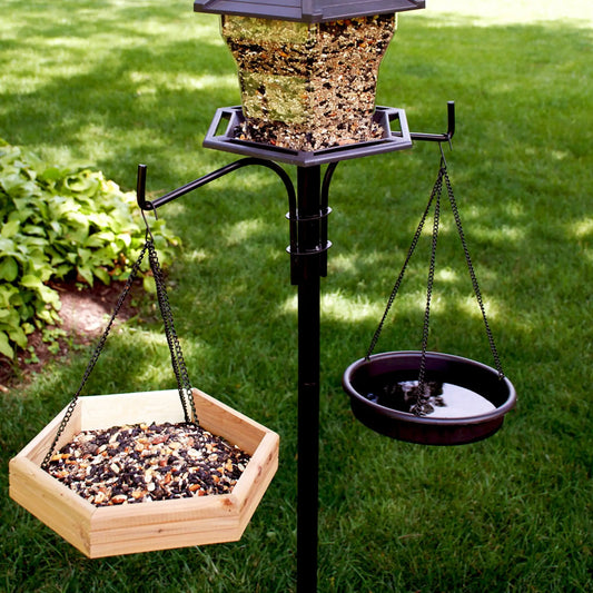 2 in 1 Bird Bath and Wild Bird Feeder