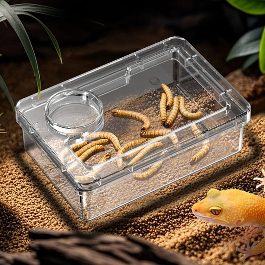 Feeding bowls and water bowls for reptile lizards and geckos