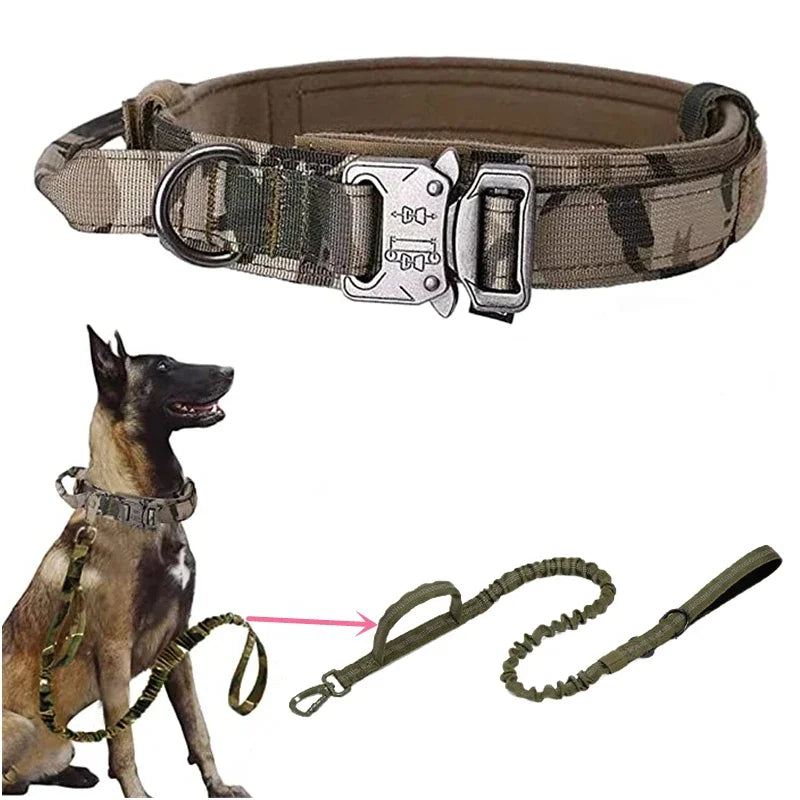 Dog Collar Leash Set Adjustable  Leash  Dog Training Accessories
