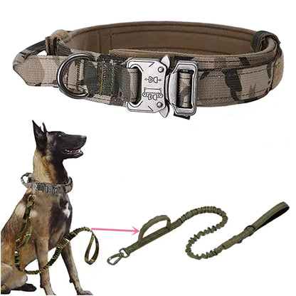 Dog Collar Leash Set Adjustable  Leash  Dog Training Accessories
