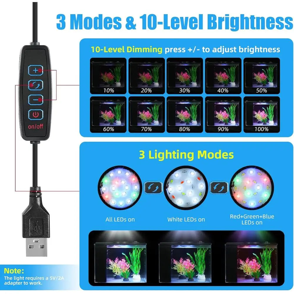 1 Gallon  Aquarium Kit with LED Light and Water Filter Pump
