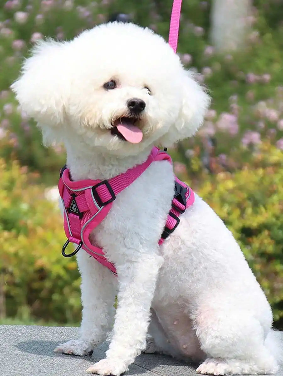 Reflective Pet Harness And Leash Set, Suitable For Dogs & Cats,