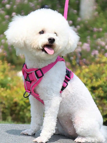 Reflective Pet Harness And Leash Set, Suitable For Dogs & Cats,