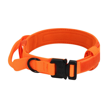 Dog Training Collar Adjustable