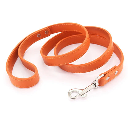 Leather Pet Walking Training Leads